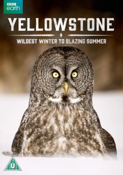 watch-Yellowstone: Wildest Winter to Blazing Summer (2017)