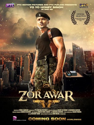 watch-Zorawar (2016)